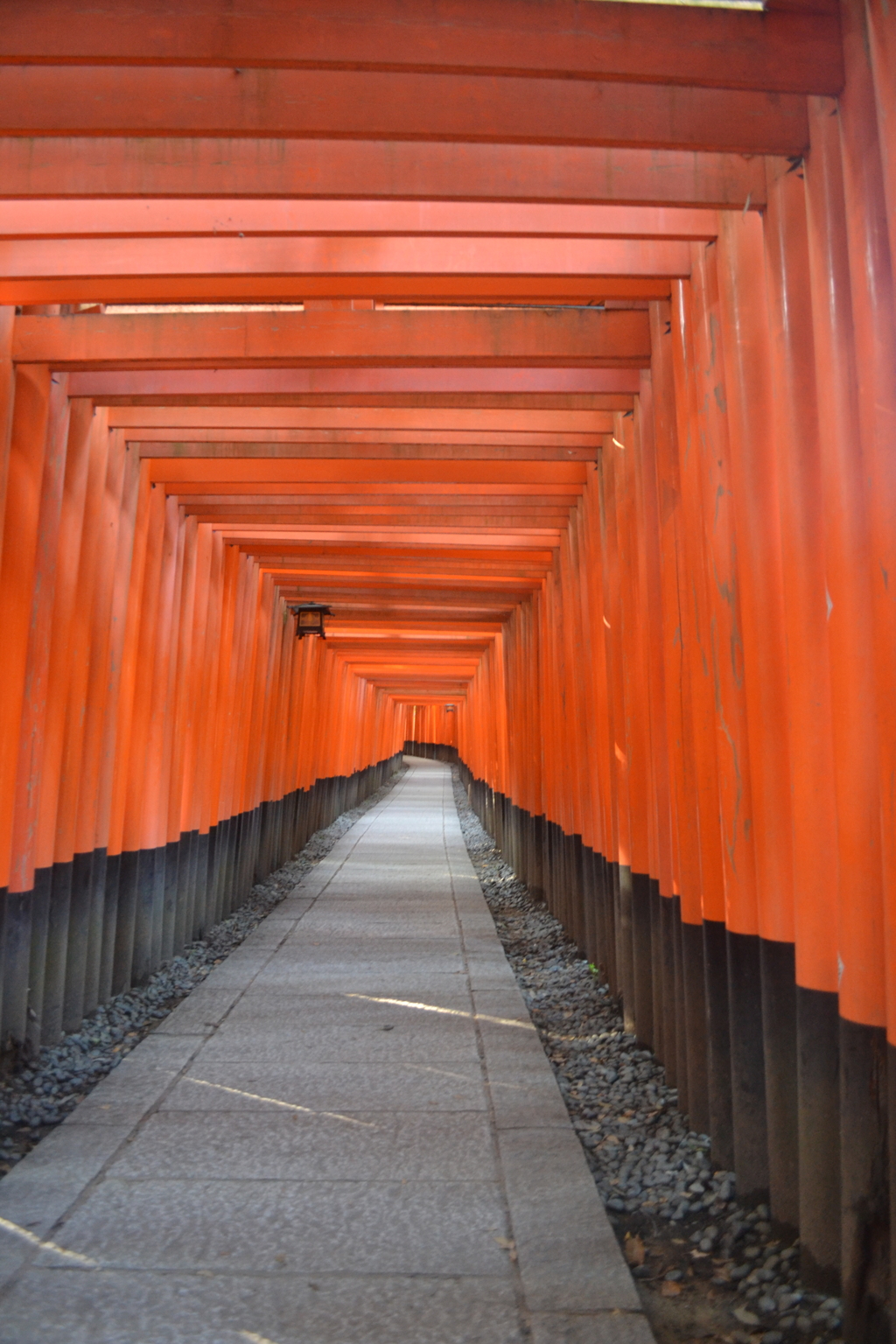 京都府　伏見大社