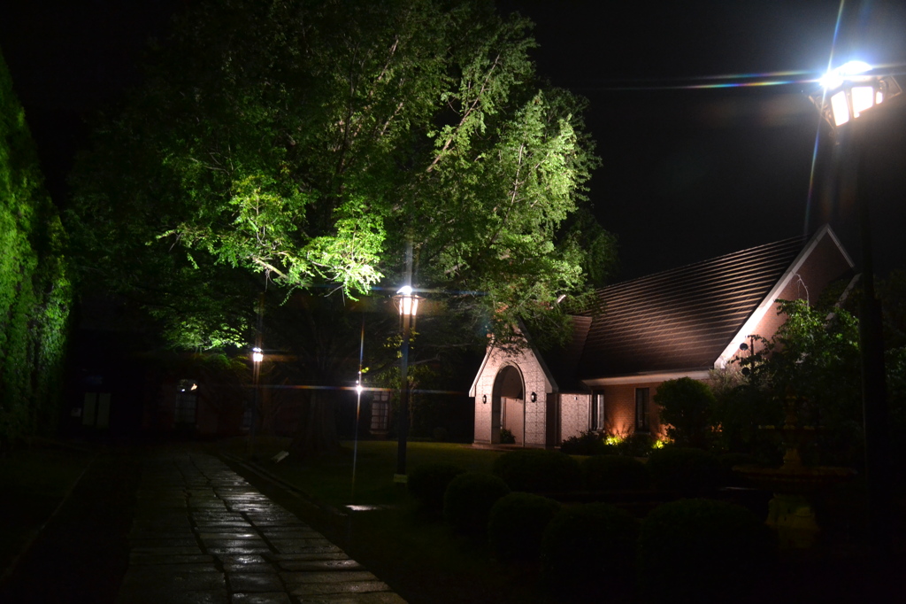 岡山県　夜の倉敷