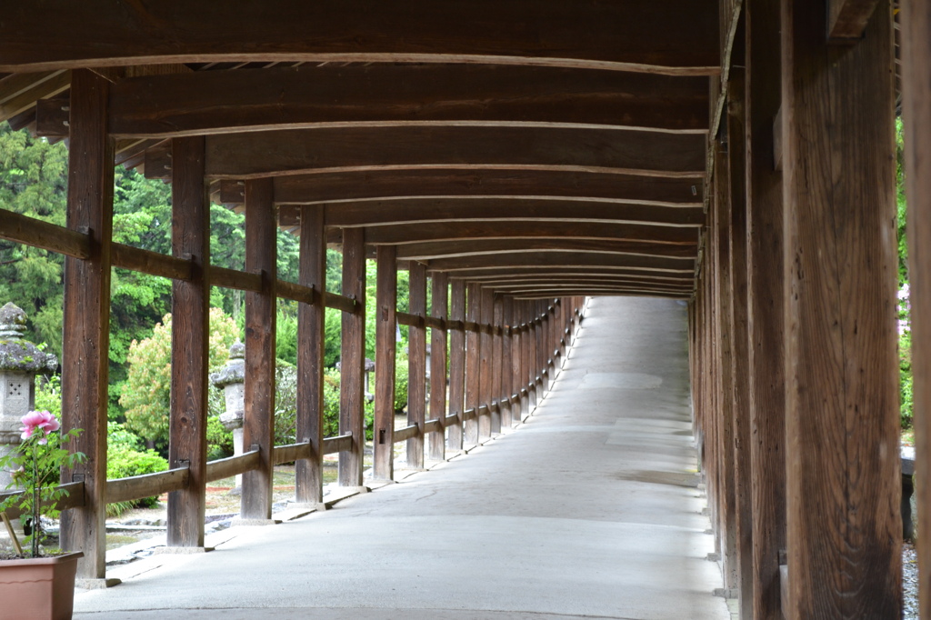 岡山県　吉備津神社