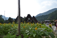 岐阜県　白川郷