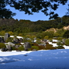 島根県　足立美術館