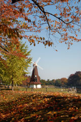 浮間公園