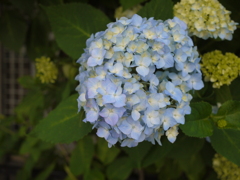 P1110372