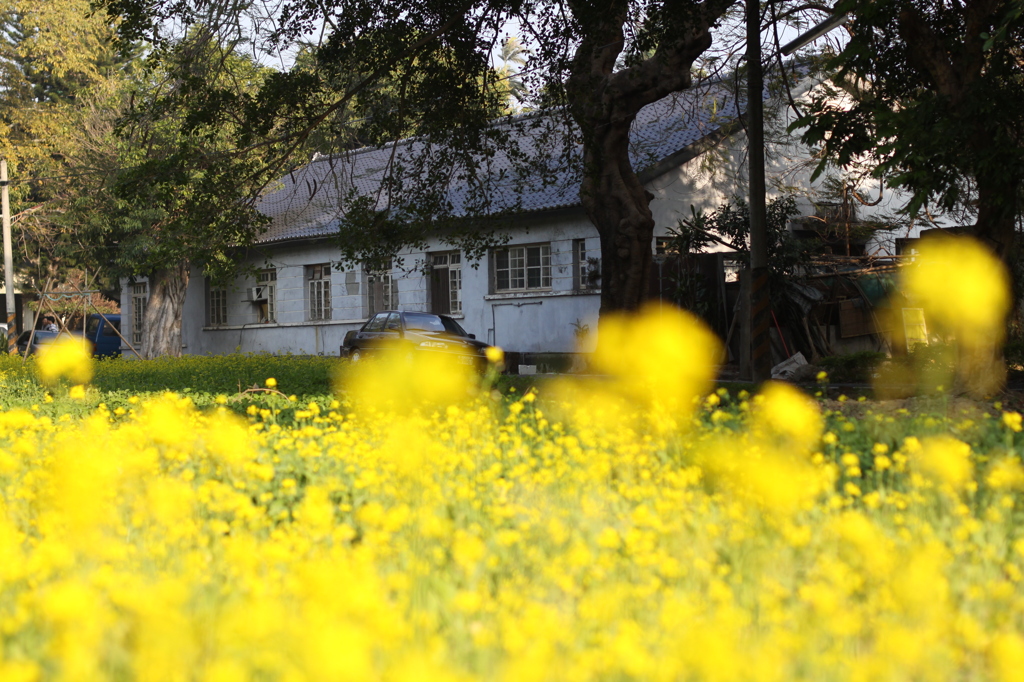 Countryside