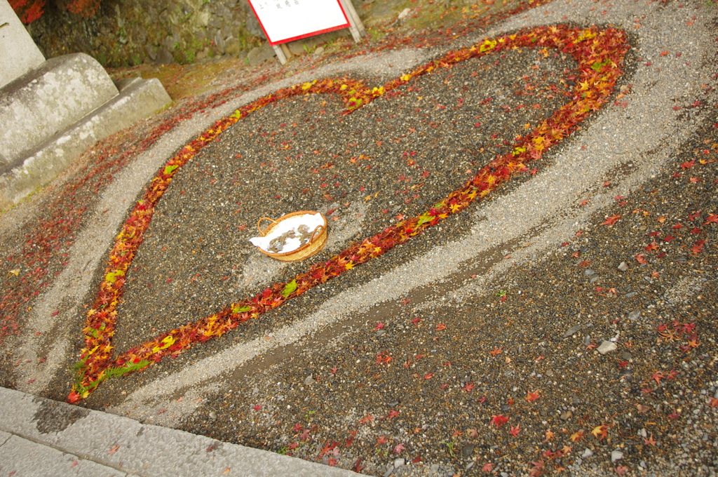 はーと　＠亀岡