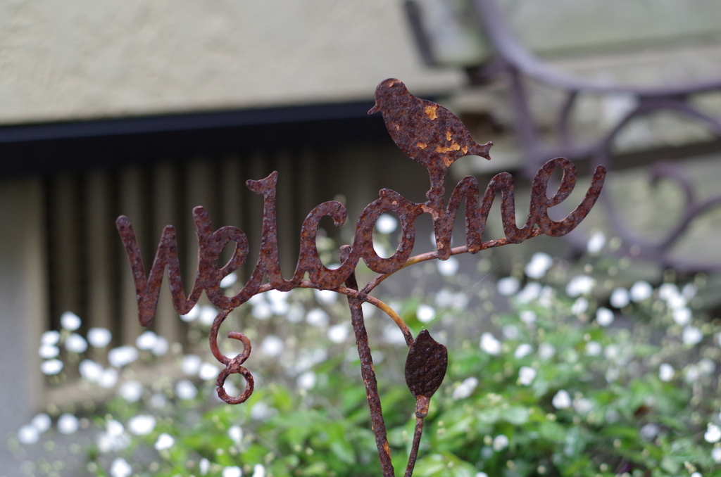 Welcome