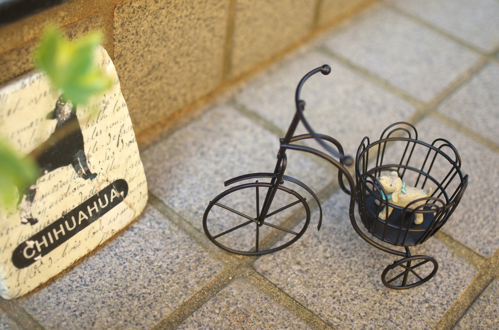 自転車の荷台に？