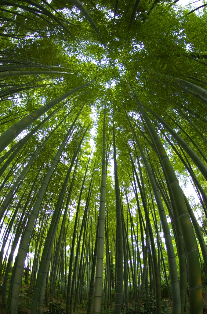 雲昌寺⑦