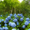 雲昌寺⑳