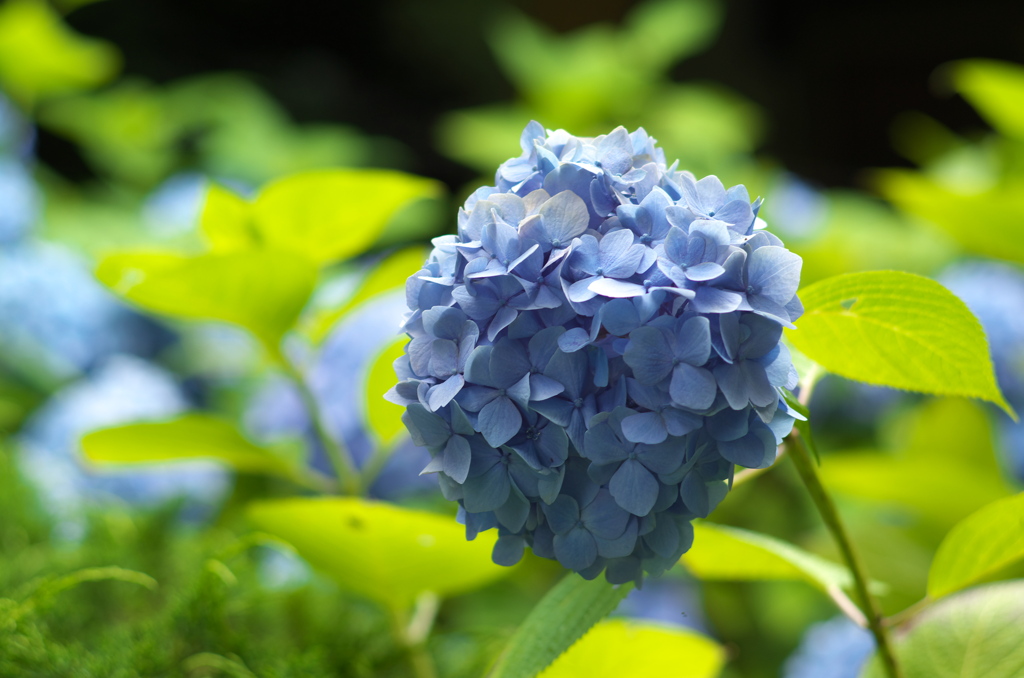 雲昌寺⑪