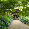 雲昌寺⑮