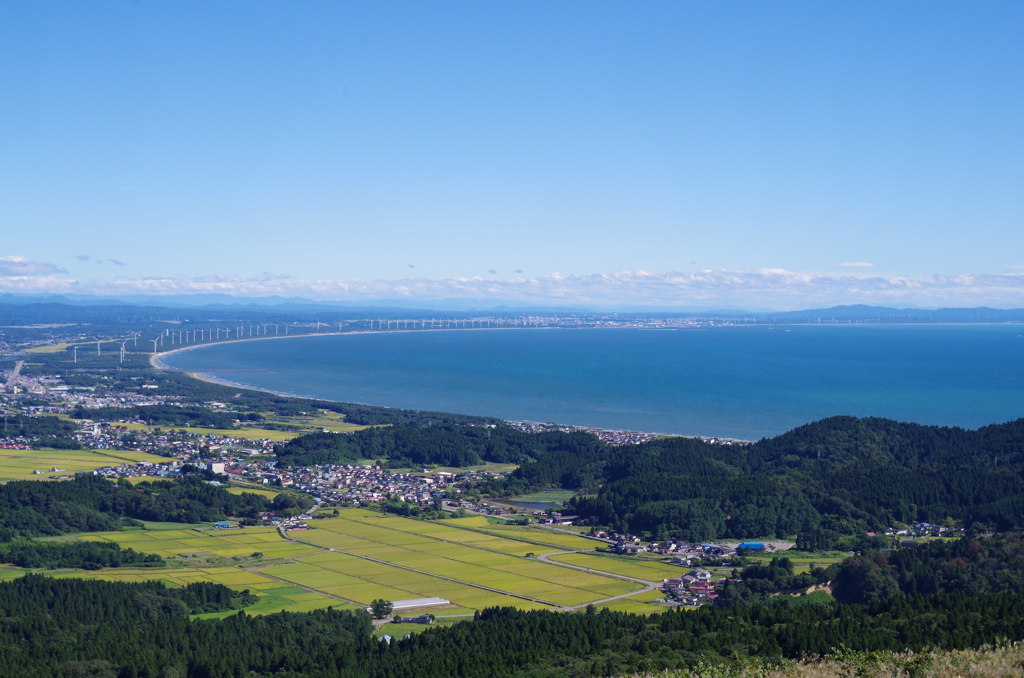 寒風山にて 40mm