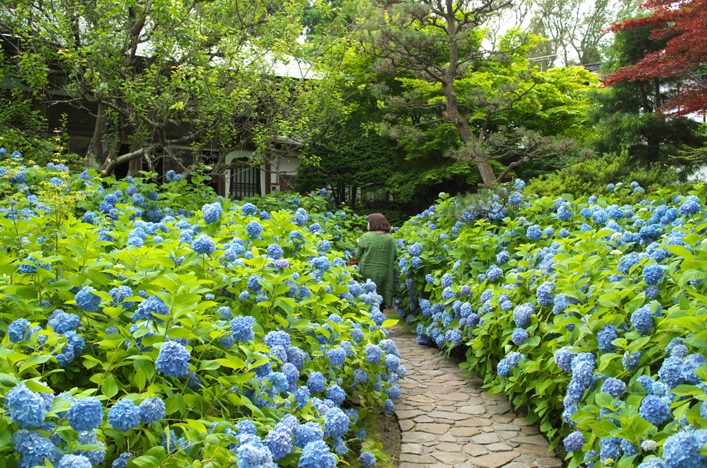 雲昌寺④