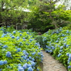 雲昌寺④