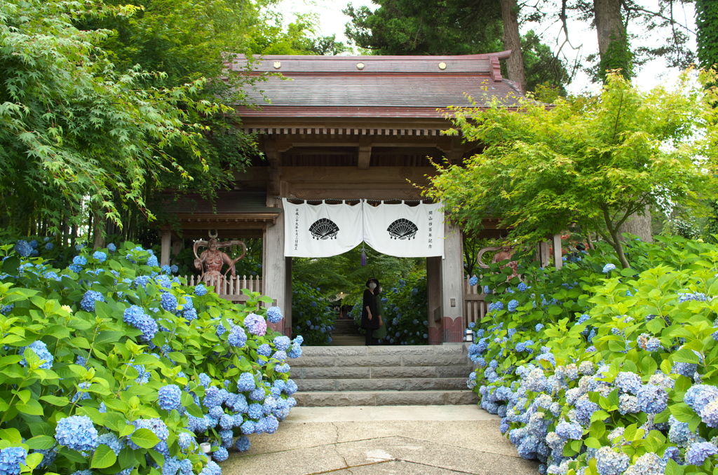 雲昌寺①