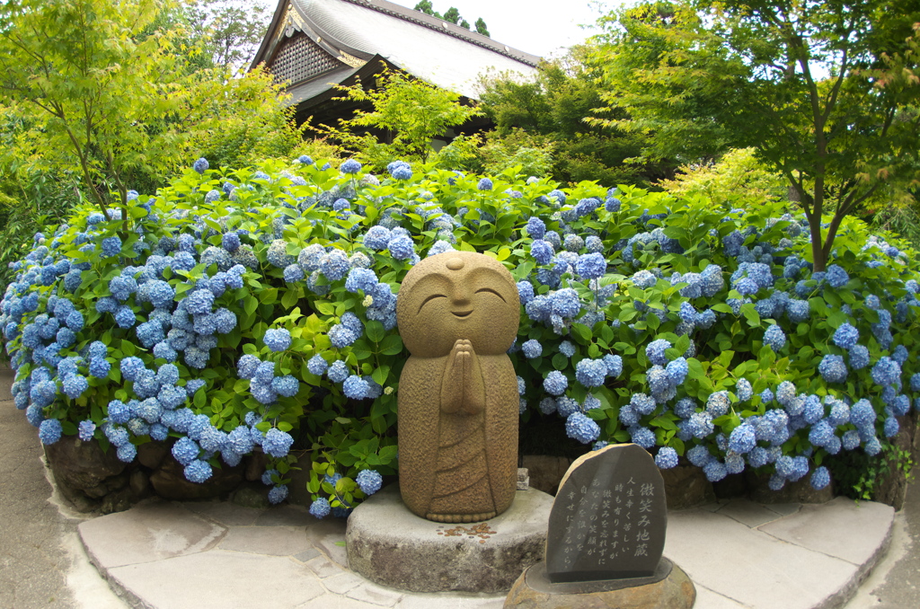 雲昌寺⑱