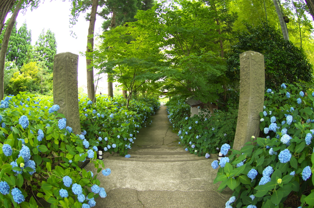 雲昌寺⑰