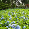 雲昌寺⑨