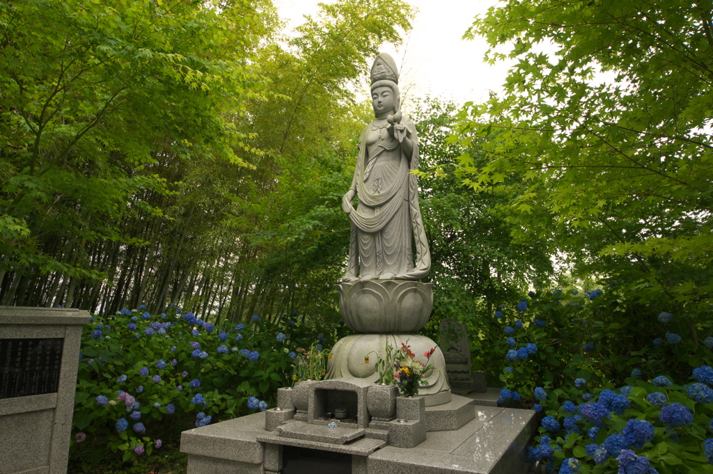 雲昌寺2022⑨