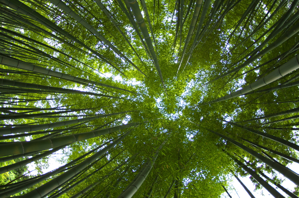 雲昌寺⑧