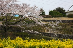 津久井湖記念館