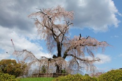 京都