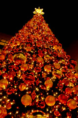 クリスマスツリー2011＠初台