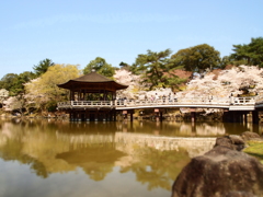 浮見堂