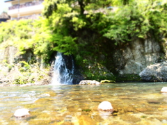 岐阜の名水