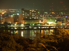 高台から
