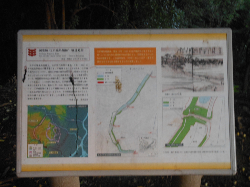 DSCN4674