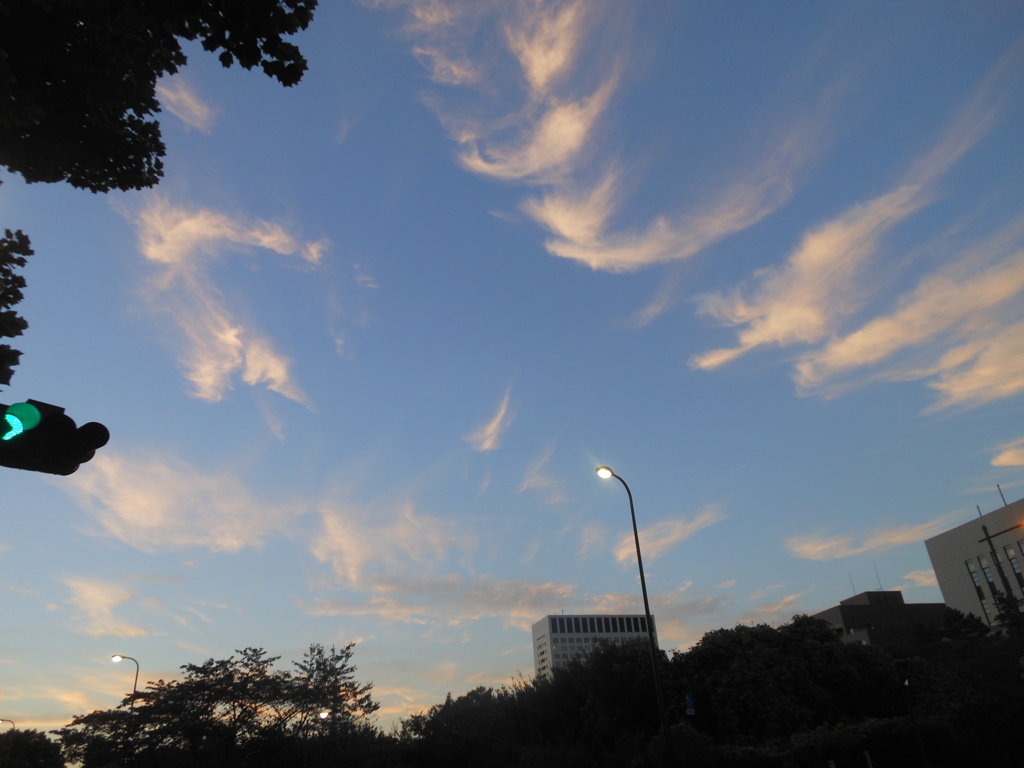 DSCN4650
