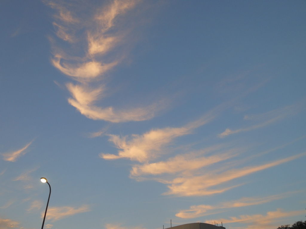DSCN4662