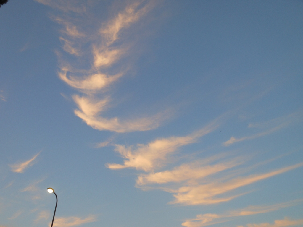 DSCN4663