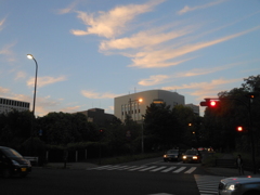 DSCN4658