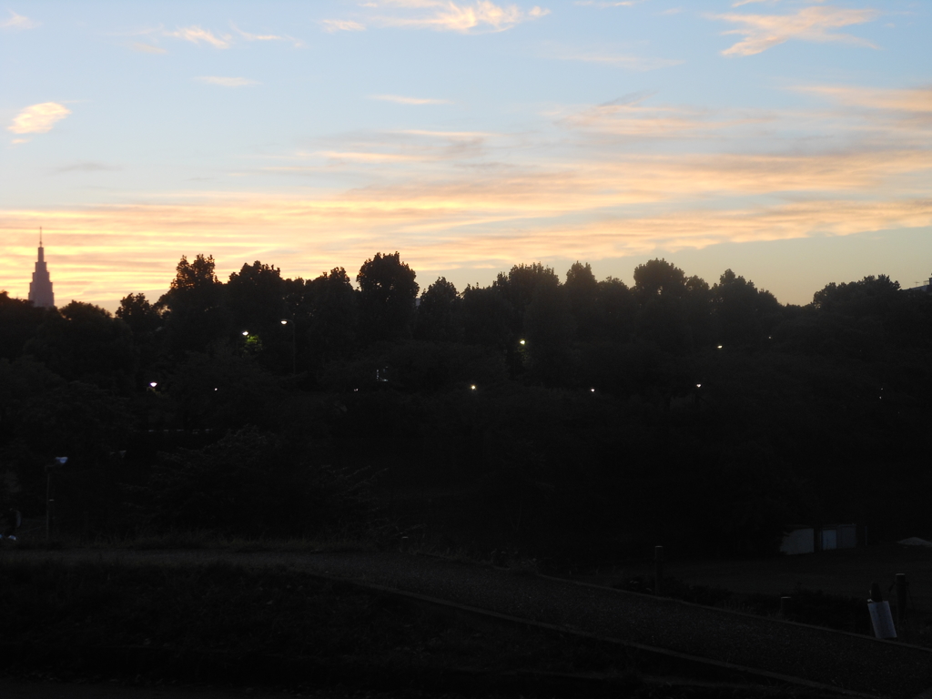 DSCN4671