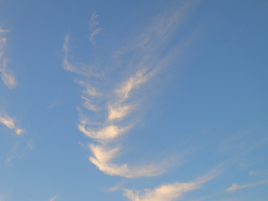 DSCN4665