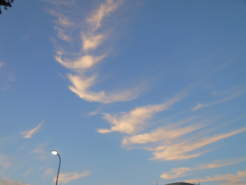 DSCN4661