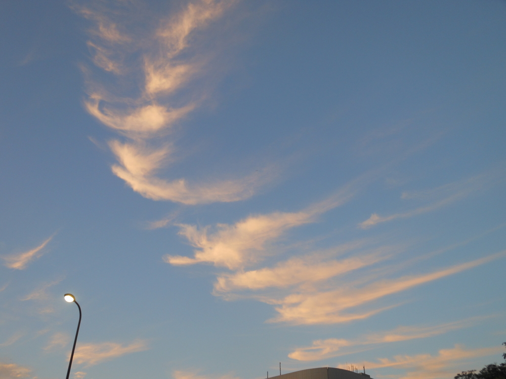 DSCN4664