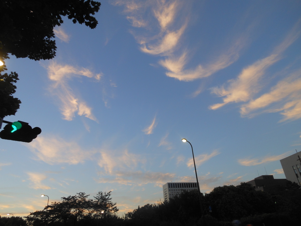 DSCN4651