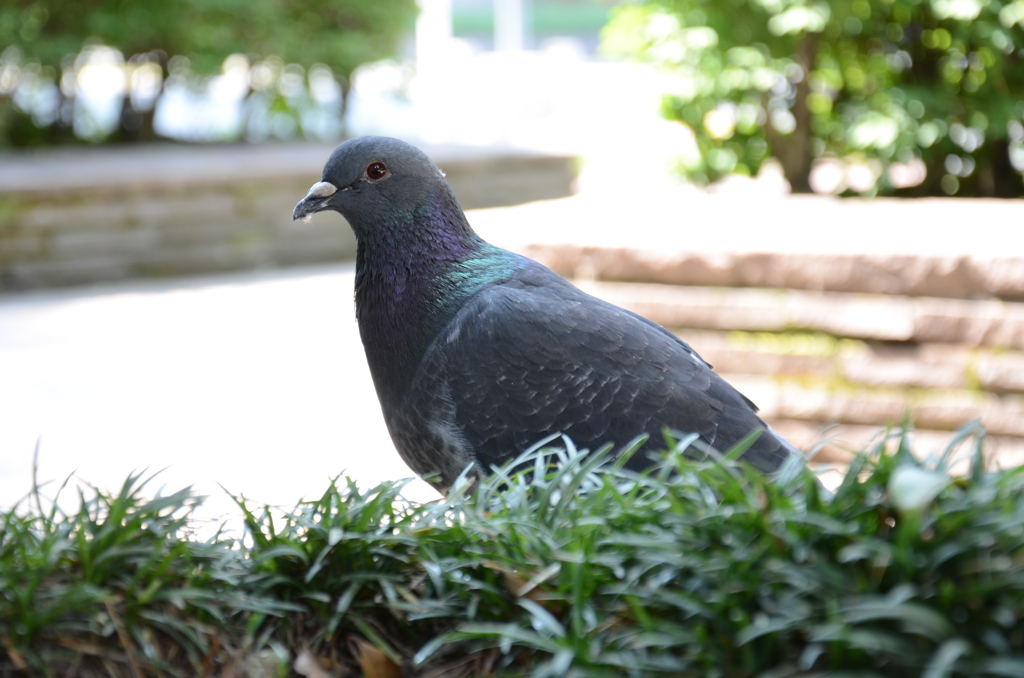 足地面についませんから