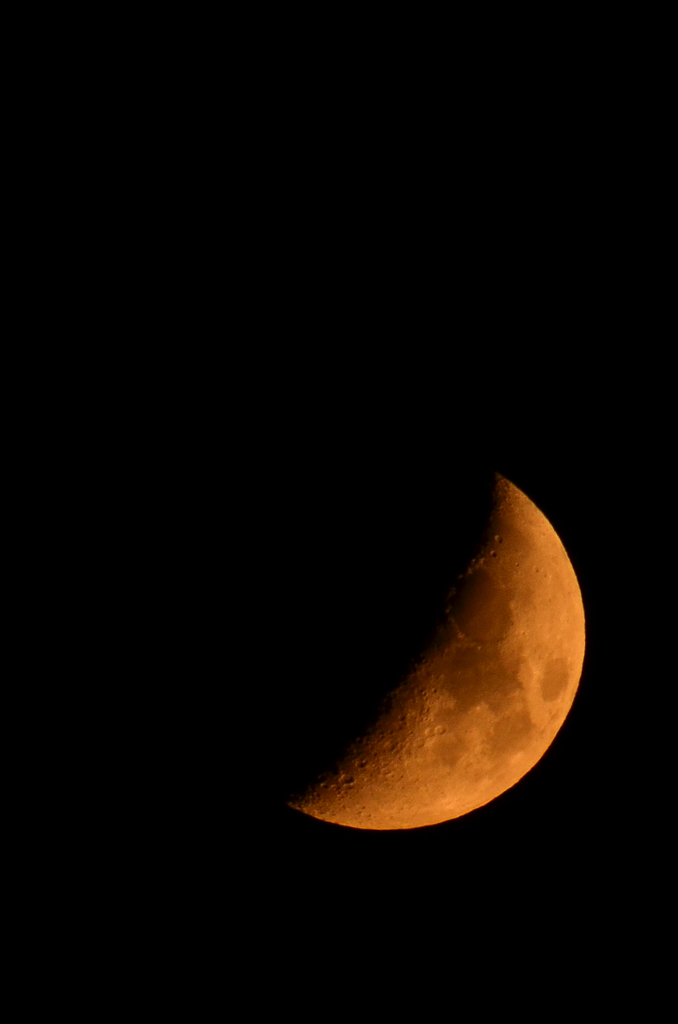 Dark Moon