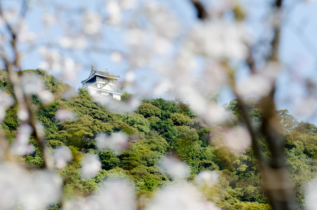 花香城