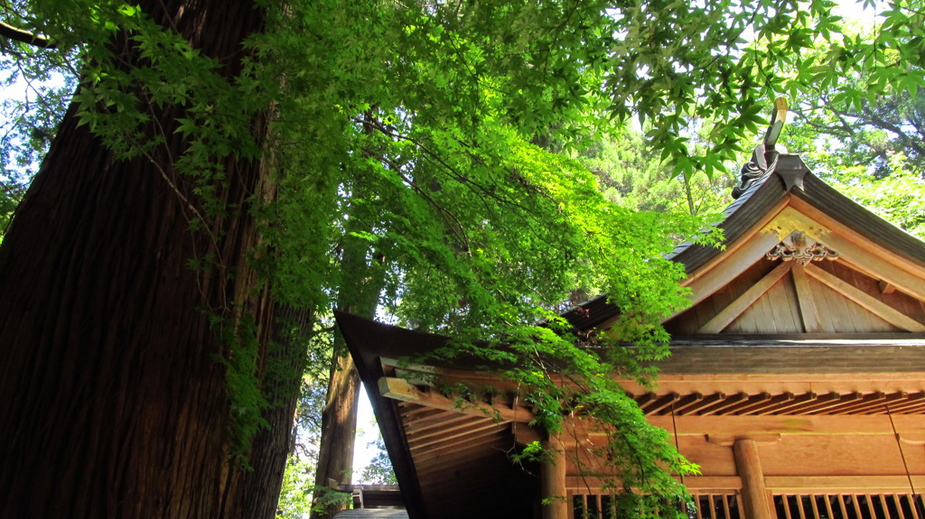 槵触神社（くしふる神社）