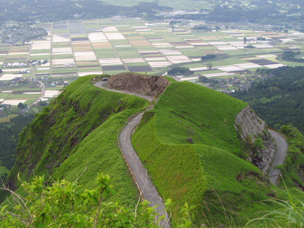 新緑の道