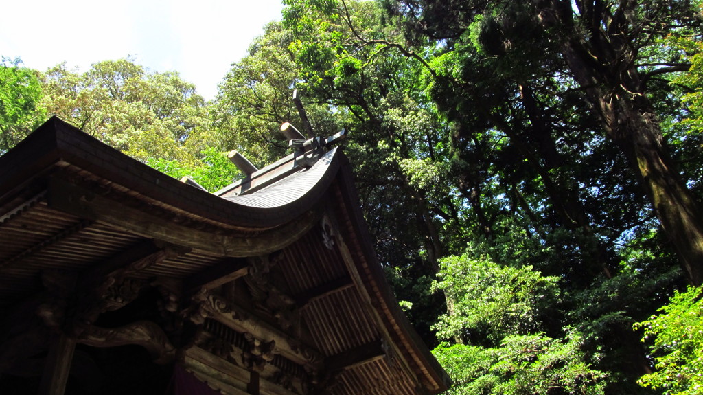 高千穂神社