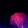 緋色の大地