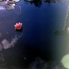 【フィルム】夏の終わりには