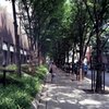 【フィルム】道