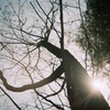 【フィルム】あの日